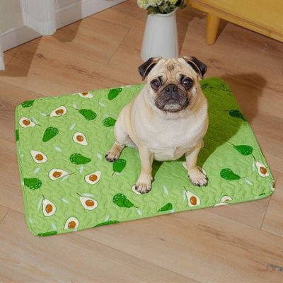 Carlin assis sur un tapis rafraichissant chien Animos vert avec motifs d'animaux
