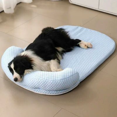 Border collie sur un tapis rafraichissant chien Frazi avec appuie-tête arqué