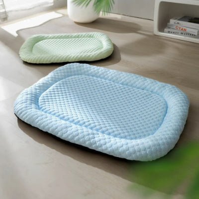 deux tapis rafraichissant chien bleu et vert avec base antidérapante