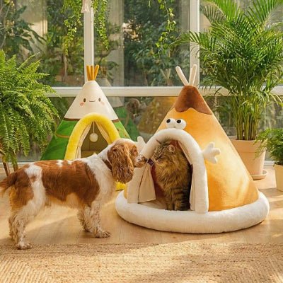 Cocker spaniel devant tipi pour chien structure pliable