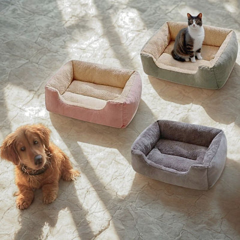 trois couleurs de lit pour chien loulou