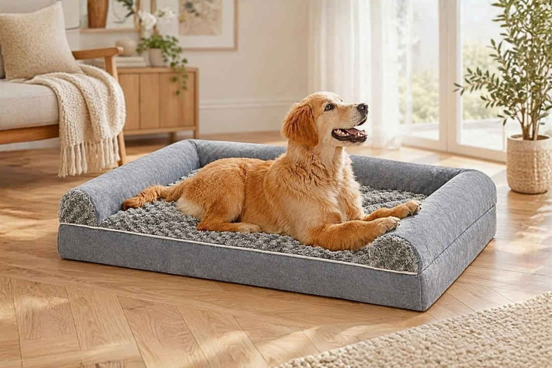 Golden retriever senior allongé paisiblement sur un lit orthopédique gris pour soulager son arthrose du chien blog
