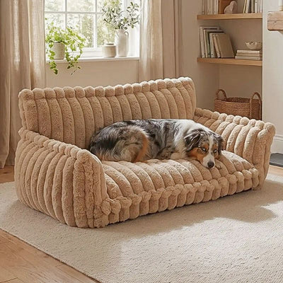 Un berger australien est allongé sur un canapé pour chien beige de la collection