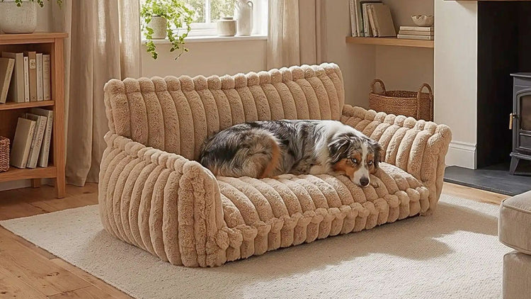 Canapé pour Chien – Sofas Divans & Fauteuils Douillets, Rassurant, Lavables, Chiens ≤ 50 kg