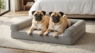 Deux carlins allongés sur un coussin pour chien gris de la collection dans une chambre