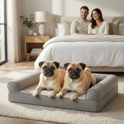 Deux carlins allongés sur un coussin pour chien dans une chambre à coucher