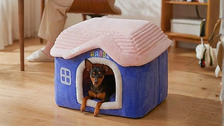 Niche pour Chien – Abris & Maisons Intérieur Extérieur, Matériaux  Premium, Chiens ≤ 15 kg