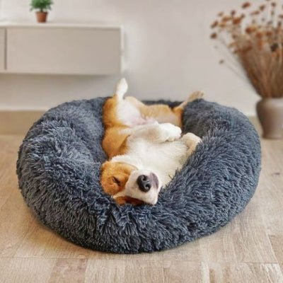 corgi couché dans un panier chien veluti gris foncé en peluche à poils longs