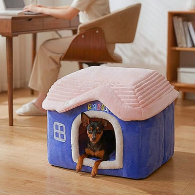 Pinscher nain dans sa niche pour chien bleue et rose moelleuse dans le bureau de sa maîtresse