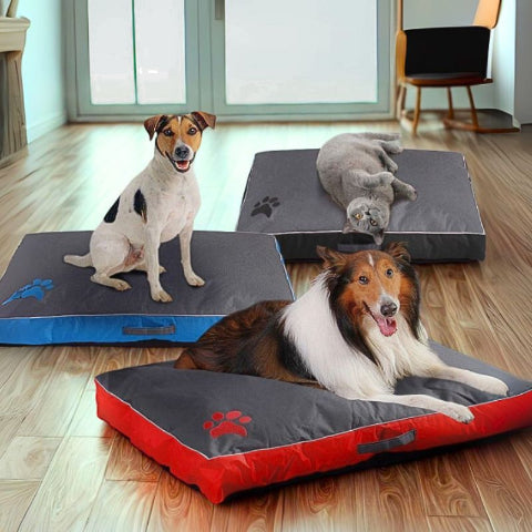 3 matelas pour chien de couleur différente résistar
