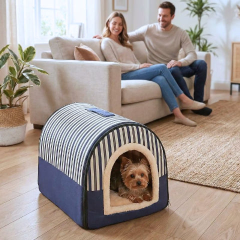 yorkshire terrier couché dans niche pour chien intérieur bleu nuvia