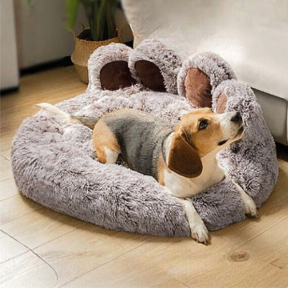 beagle allongé dans panier pour chien moelleux patte