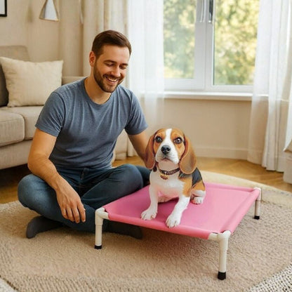 beagle assis sur lit de camp chien rose aventure