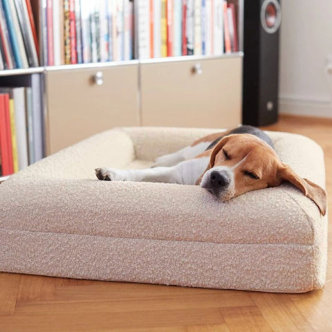 beagle couché sur panier grand chien beige dival