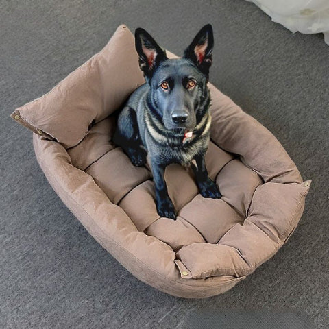 berger allemand assis sur lit chien marron flexi