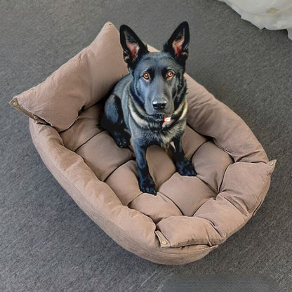 berger allemand assis sur lit chien marron flexi