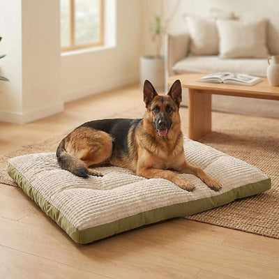 berger allemand couché sur coussin chien xxl vert akal
