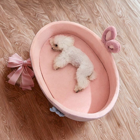 bichon allongé dans couchage chien douillet rosi