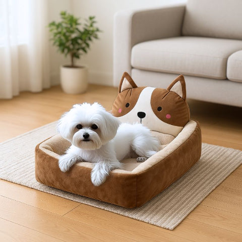 bichon allongé dans couchage chien marron choupinou