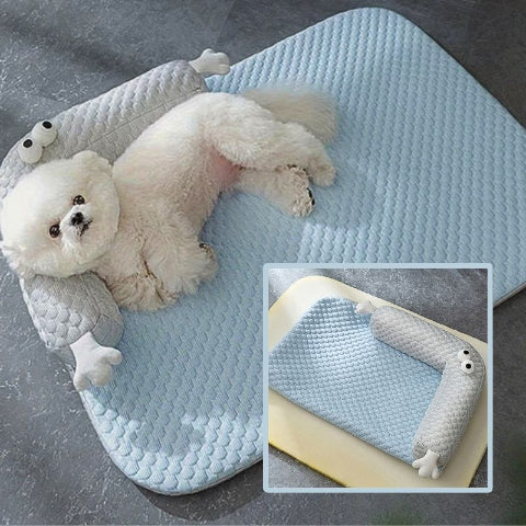 bichon allongé sur coussin pour chien bleu clair rafraichissant