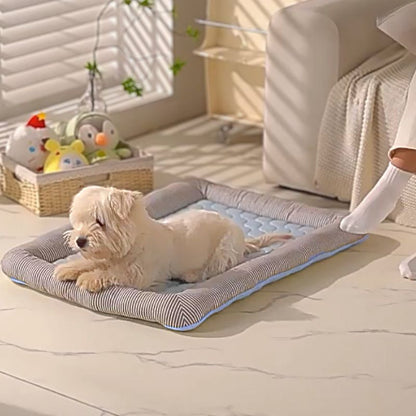 bichon allongé sur tapis rafraichissant chien antiderapant bassino