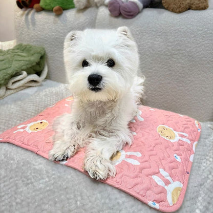 bichon allongé sur tapis rafraîchissant chien rose animos
