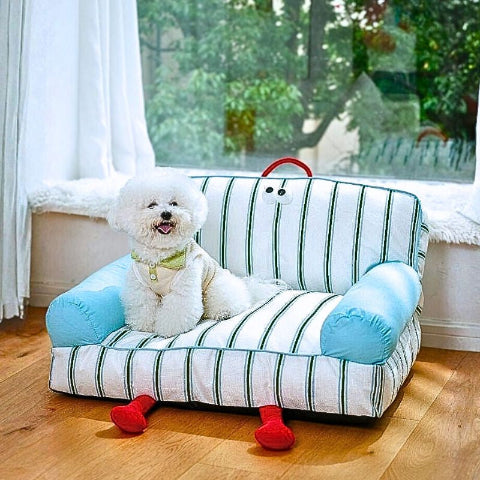 bichon assis dans canapé chien respirant rayola