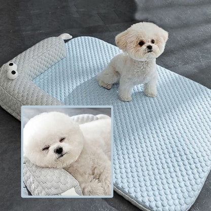 bichon assis sur coussin pour chien absorbant rafraichissant