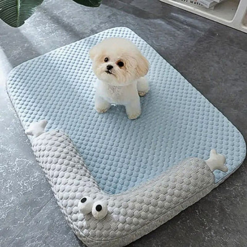bichon blanc assis sur coussin pour chien déhoussable rafraichissant