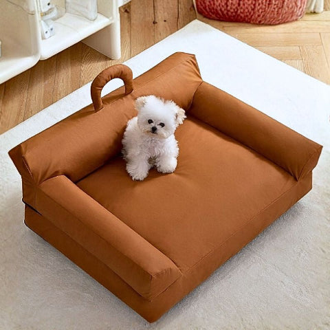 bichon assis sur canapé pour chien en similicuir somnol