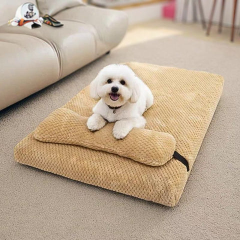 bichon couché sur coussin déhoussable pour chien jaune ducou