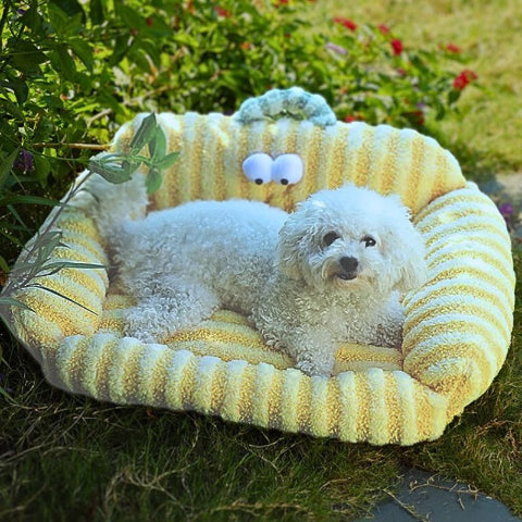 bichon frisé allongé sur coussin pour chien jaune canapé