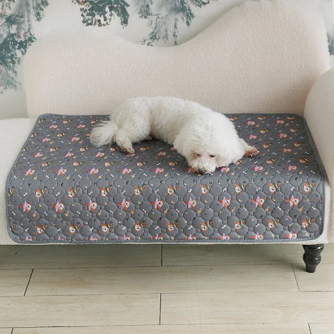 bichon frisé allongé sur tapis pour chien absorbant chien magicien