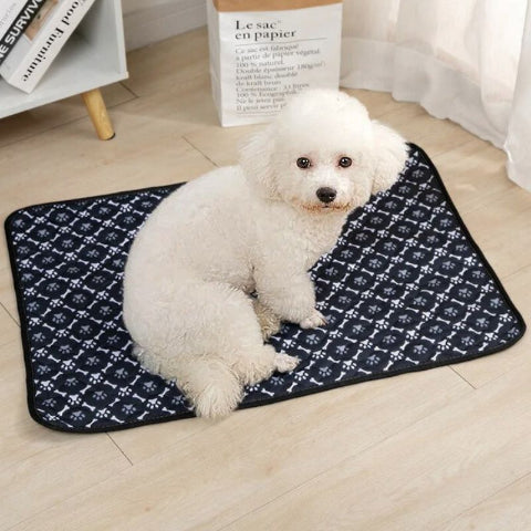 bichon frisé assis sur tapis chien noir anti-fuite