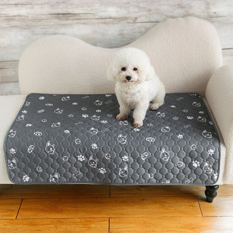 bichon frisé assis sur tapis pour chien bouledogue blanc absorbant