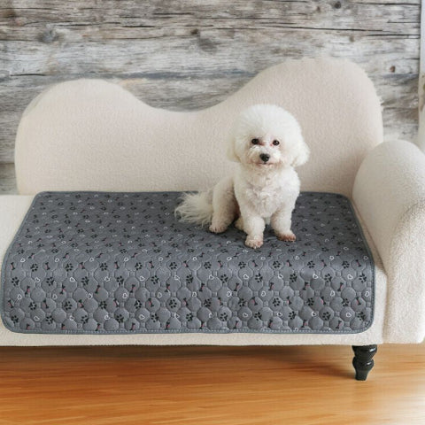 bichon frisé assis sur tapis pour chien patte noire absorbant