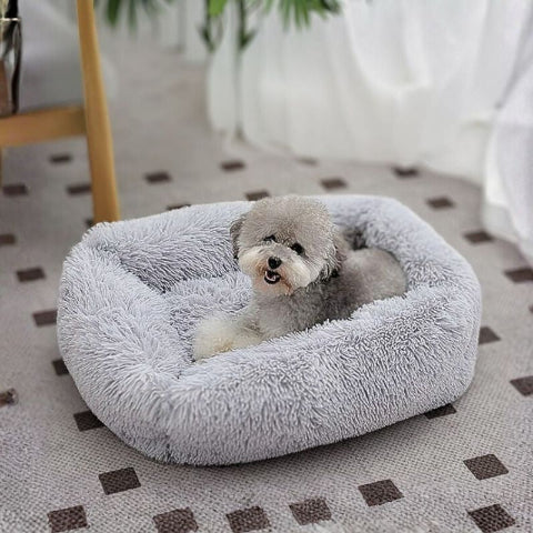 bichon frisé couché sur coussin pour chien gris peluche douce
