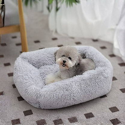 bichon frisé couché sur coussin pour chien gris peluche douce