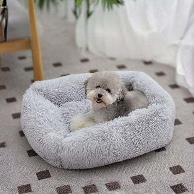 bichon frisé couché sur coussin pour chien gris peluche douce
