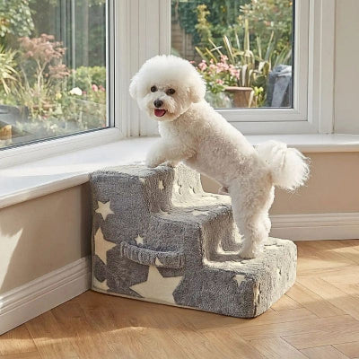bichon frisé montant escalier chien lumiscalier 3 marches gris