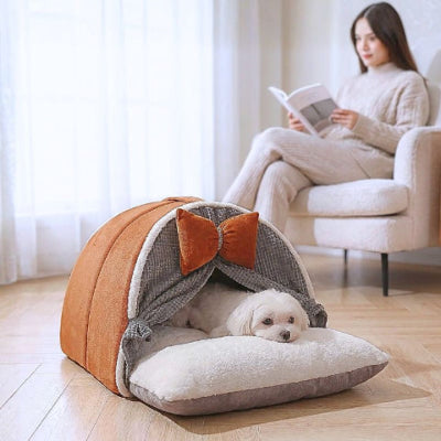 bichon maltais allongé dans grotte pour chien marron nougat