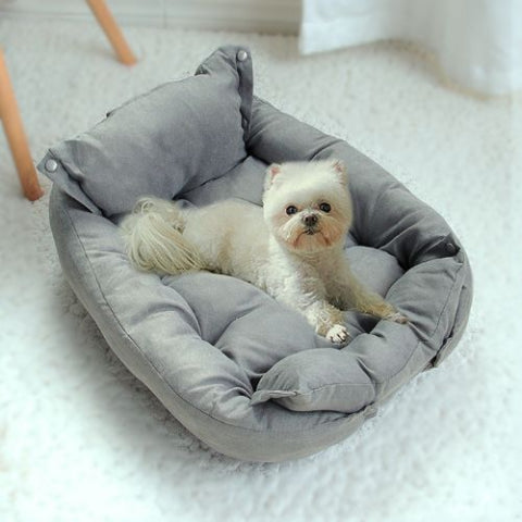 bichon maltais allongé sur coussin chien gris  3 en 1