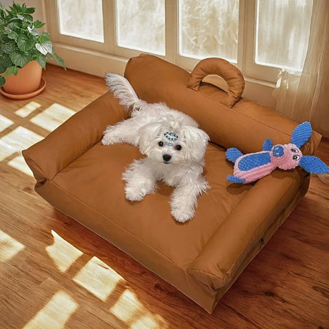 bichon maltais couché dans canapé pour chien marron somnol