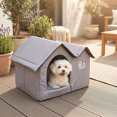 bichon maltais couché dans niche d'intérieur pour chien glacine grise