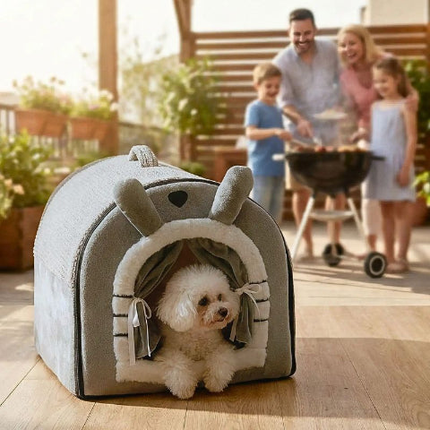 bichon maltais couché dans niche pour chien intérieur grise mielou