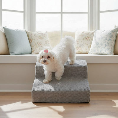 bichon maltais descend escalier pour chien hophop gris 2 marches