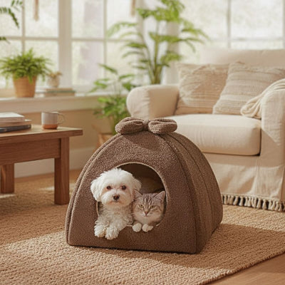 bichon maltais endormi dans grotte pour chien pasha marron 