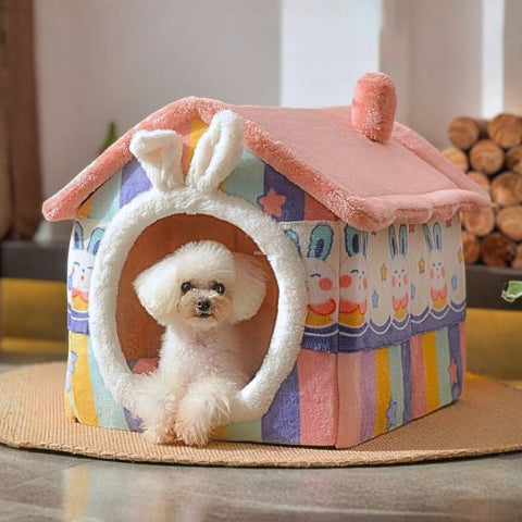 bichon toy couché dans niche chien interieur arc-en-ciel lapinou