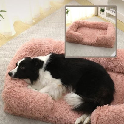border collie allongé dans panier chien rose rectangle