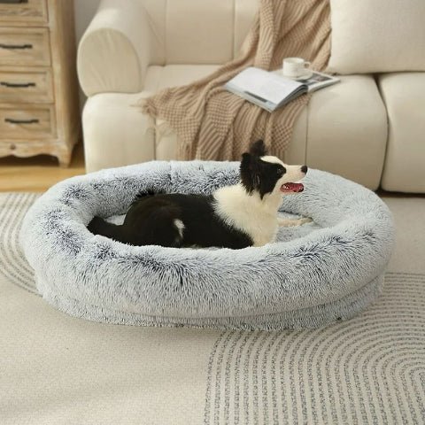 border collie assis sur panier chien xxl gris clair cajo